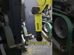 4000mm Roboterschleifmaschine mit 2 Schleifmaschinen und 4 Sand-Gurten